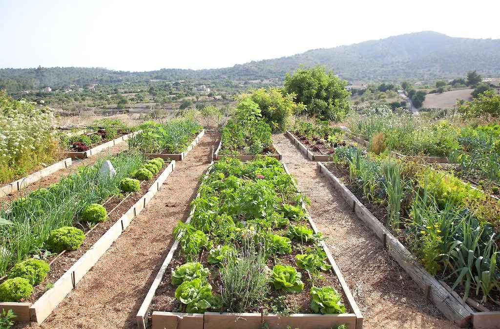 Agroturismo Ses Cases De Fetget (Adults Only) Son Servera  Spain