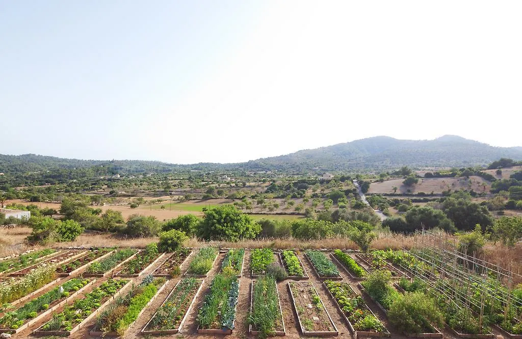Agroturismo Ses Cases De Fetget (Adults Only) Son Servera  Hotel Son Servera (Mallorca)